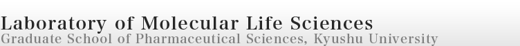 Laboratory of Molecular Life Sciences